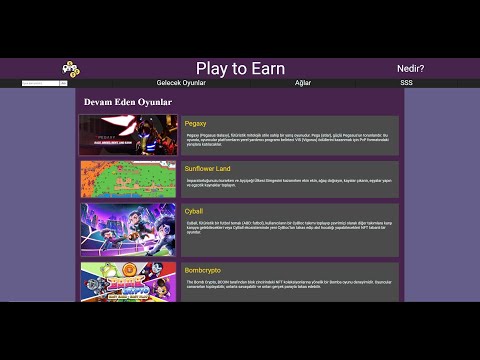 İnternet Programlama Vize Play to Earn Web Sitesi