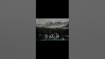 تلاوة خاشعة للقرأن الكريم للسورة الكريمة سورة البلد