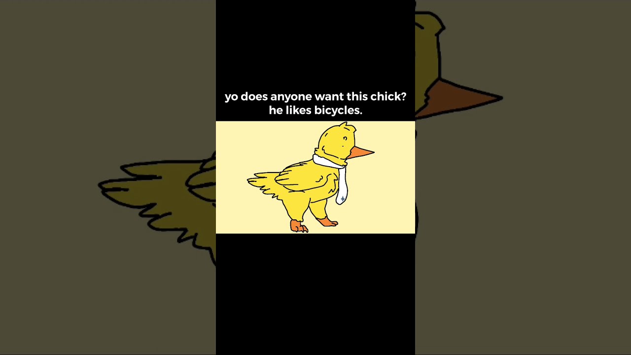 Can Your Pet Animation 