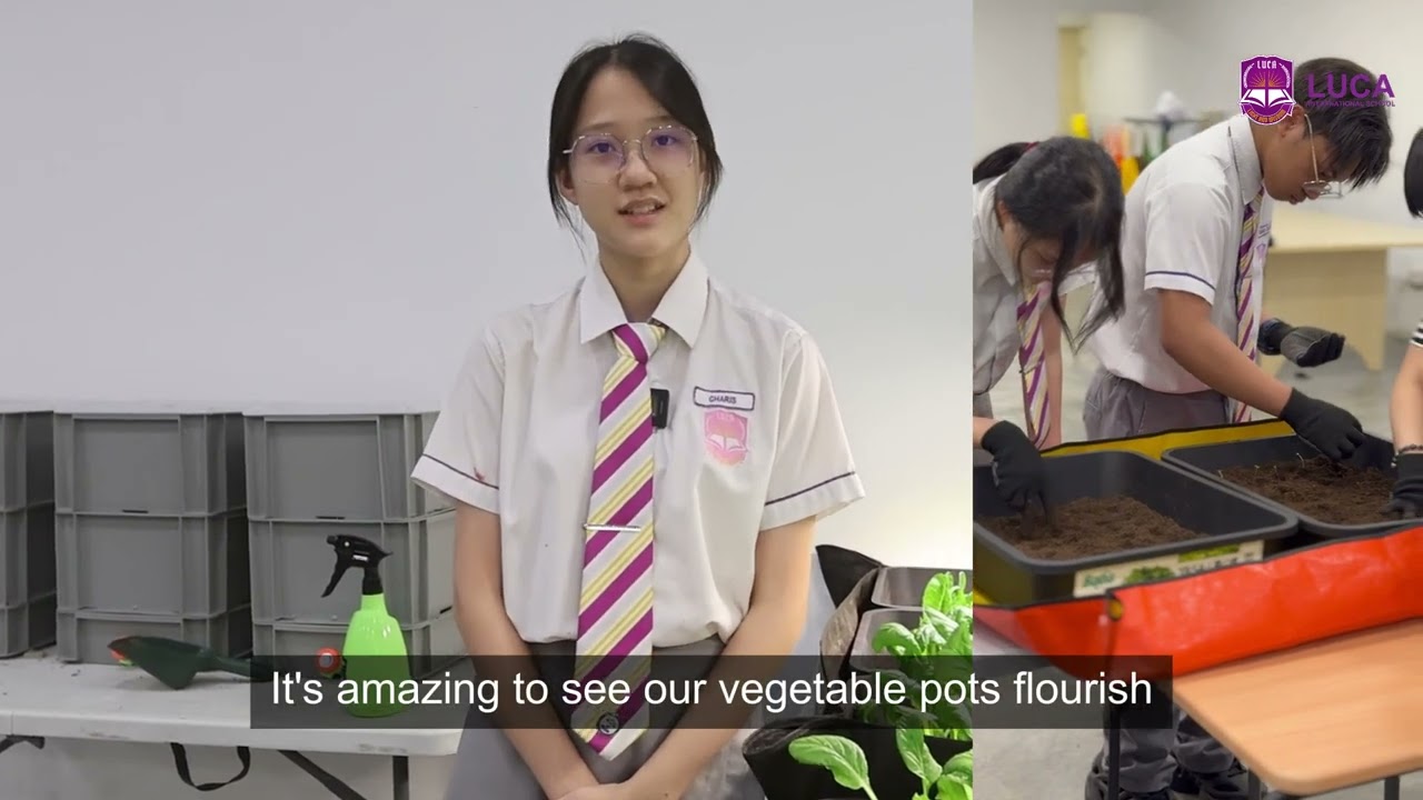 🌿🐛 From Waste to Wonders – LUCA’s Vermicomposting Magic! ✨🌍