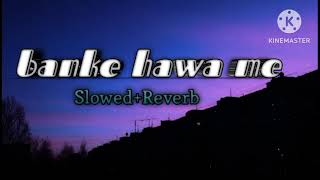 Download Lagu Banke hawa me lofi song MP3 official song best song(Slowed+Reverb) #sadiqie07_official MP3