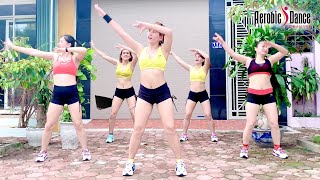 25 Minute Aerobic Workout At Home l Workout to Reduce Abdominal Fat l Aerobic Dance