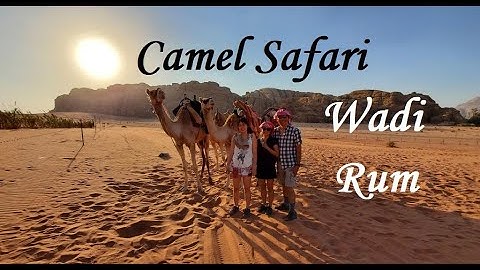 Wadi Rum CAMEL RIDE SUNSET Jordan 🇯🇴
