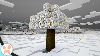 10 DIFFERENCES BETWEEN MINECRAFT 1.16 JAVA + BEDROCK!