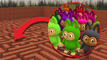 I FOUND COLORFUL LABUBU IN BIG MAZE In Garry