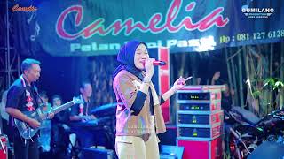SESAL RIZA PALUPI - CAMELIA MUSIC - WEDDING JAYANG & PUTRI - TUBANAN KEMBANG JEPARA