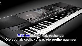 karaoke ojo mudik didi kempot lirik campursari koplo