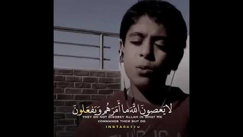 تلاوة تأخذك الى عالم اخر