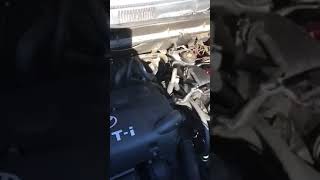 Scion Xb 2006 Locasion Del Speed Sensor Youtube