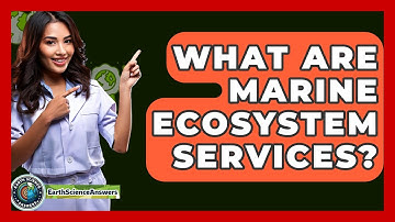 What Are Marine Ecosystem Services? - Earth Science Answers