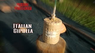 Cipolla Artigianale 60 Grammi!! ][ Italian Cipolla 60 gr SELF MADE