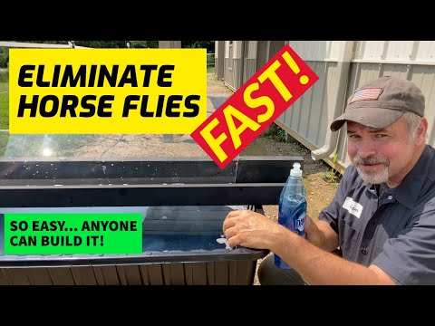 Get Rid of Horse Flies - How To Make The Best DIY Horse fly trap