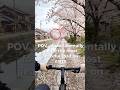 POV: Cycling Through Japan During Sakura Season 🌸🚴#cycling #pov #mtb
