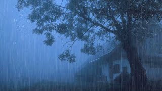 Rain Sounds for Deep Sleep  Heavy Rain and Thunder on the Roof in the Foggy Forest at Night #12