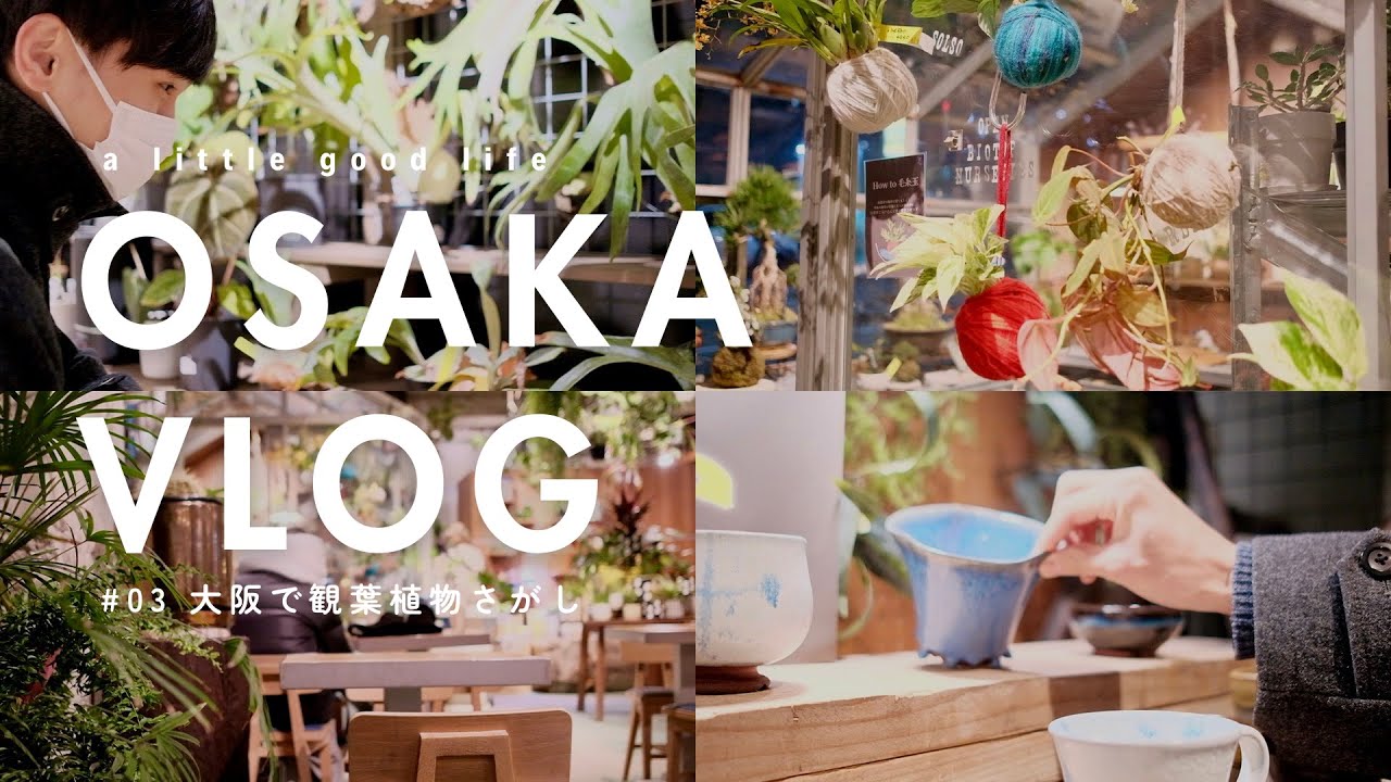 【グラングリーン大阪】姉nao夫婦がいく、グラングリーン大阪にできたコーナンが手がけるgardens umekitaで観葉植物さがし🌵