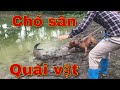 Cùng Chó Săn Thu Phục Quái Thú | Săn Bắt Ẩm Thực Vùng Cao