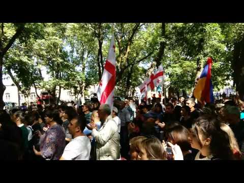 დავით ბაქრაძე : წნორში \"ენმ-ის\" ლიდერების შეხვედრა მოსახლეობასთან