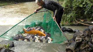 Fishing techniques - Create fish traps on small streams - interesting fish traps - Bushcraft EP3