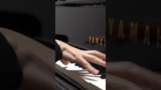 白い恋人達 ピアノVer.