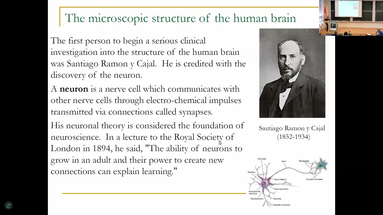 Markov Processes and Brain Network Hubs