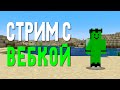 Играю в Майнкрафт с ВЕБКОЙ на +ВАЙБЕ