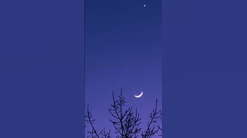 سورة المائدة • الشيخ #عبدالله_القرافي من المسجد النبوي الشريف