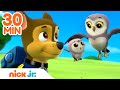 PAW Patrol Mother's Day Rescues! w/ Skye & Chase 🌸 | 30 Minute Compilation | Nick Jr.