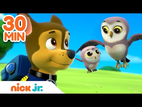PAW Patrol Mother's Day Rescues! w/ Skye & Chase ? | 30 Minute Compilation | Nick Jr.