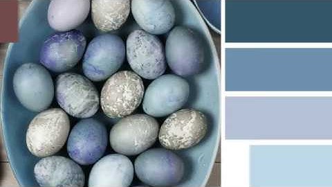 Inspiration Is Everywhere with the ColorReader