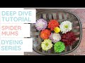 How to dye sola wood flowers | Spider Mum tutorial