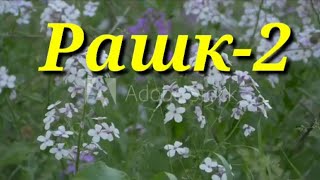 картинка: Рашк-2.#ибратлихикоялар#мехр#мухаббат#фойдали#хидоят#хикмат#хикоя.