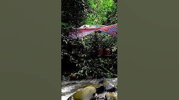 Cắm Trại Rừng Mưa Nhiệt Đới là lựa chọn TỐT nhất Ep2 | Di Hướng Nội