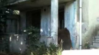 Seyithan İzsi̇s - Bir Başarı Öyküsü -- Ntk Prodüksiyon