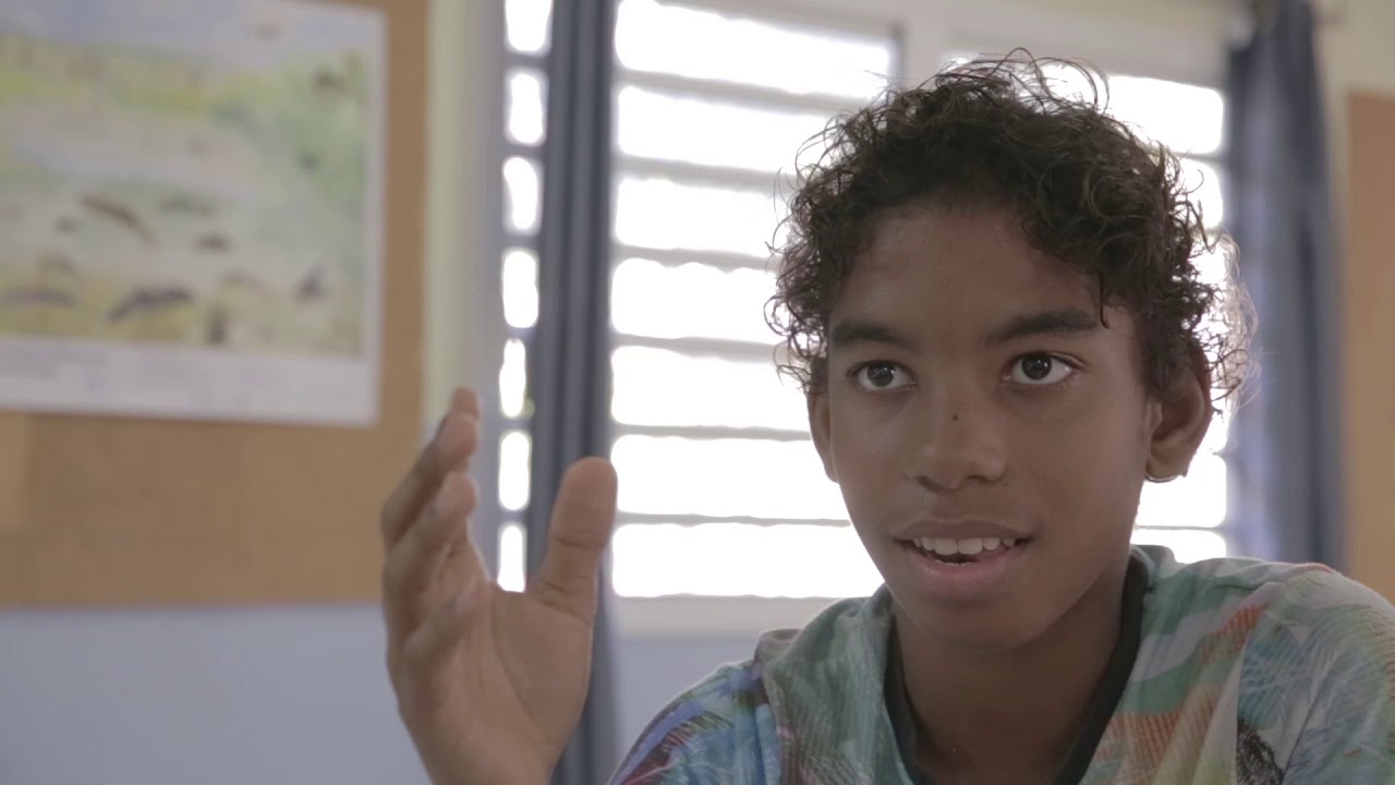 Collège Etang St Paul : Le naufragé