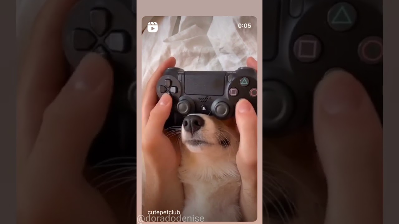 Playing Super Mario on Playstation 5? 