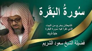  سورة البقرة كاملة الشيخ سعود الشريم دون اعلان دخلها | surah baqarah Saud Shuraim