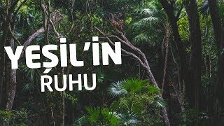 Yeşilin Ruhu Bitkilerin Bilinmeyen Dünyası