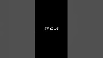 سورة التوبة | وَضَاقَتۡ عَلَيۡكُمُ ٱلۡأَرۡضُ #المنشاوي #قرآن #سورة_التوبة #شاشه_سوداء