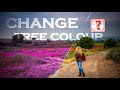 How to Change trees color in a video|with Kinemaster|And picsart| kinemaster effect