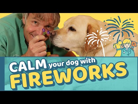 فيديو: 5 طرق لتهدئة الكلب القلق