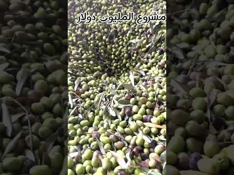 دراسة جدوى شاملة مشروع معصرة عصر زيت الزيتون وتحقيق أرباح بالملايين بأقل تكلفة ممكنة مشاريع مشروع