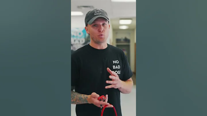 The Safest E-Collar Conditioning Level