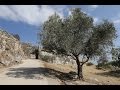 Греция: Микены / Greece: Mycenae