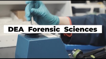 DEA Forensic Sciences Informational Video –The Three Disciplines