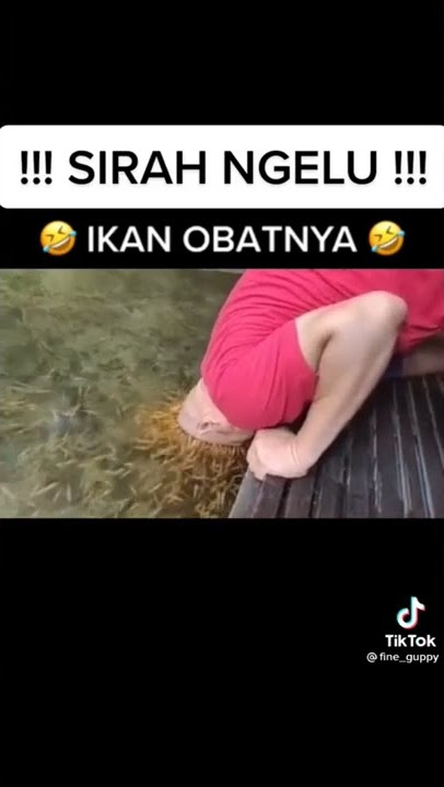 kepala pusing ini obat nya 🤣🤣