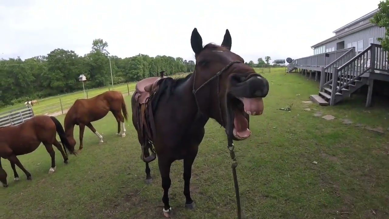 Bruce  May 23rd, 2022