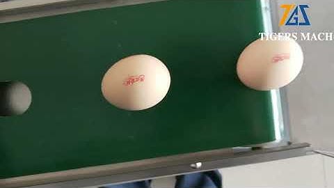 Small egg printing machine, automatic egg coding process equipment, how to print date on the eggs