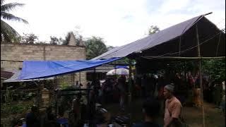 kuda gepang tapin salimbur alam grup