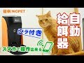 スマホで操作出来るカメラ付き自動給餌器 (犬・猫) の開封と初期設定レビュー！【WOpet】