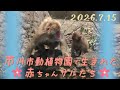 がんばれ！あかちゃん【2026年7月15日】　